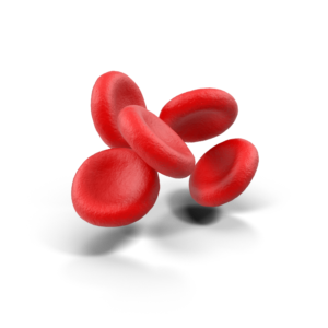 Blood-Cells.G04.2k-300×300